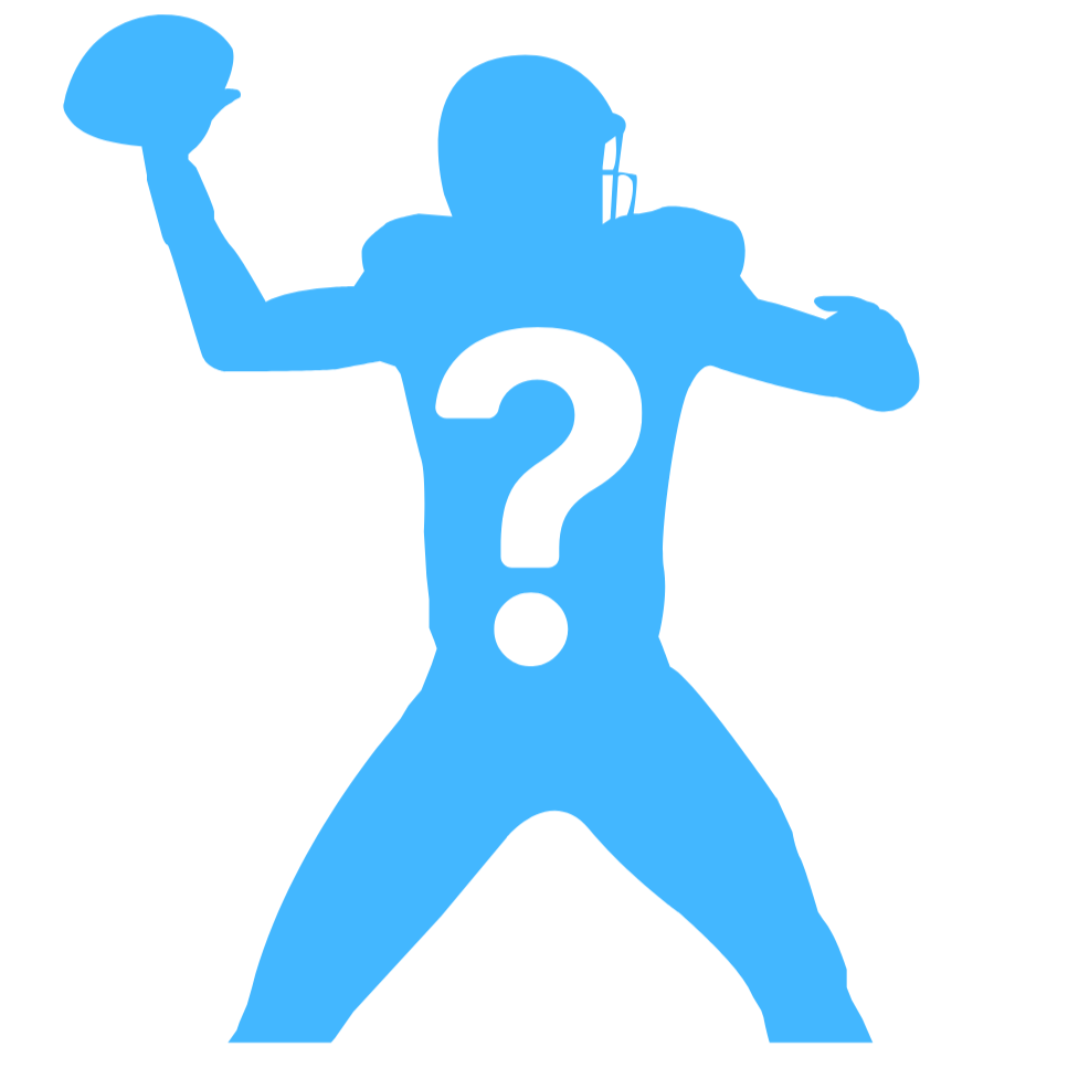 Guess the Player